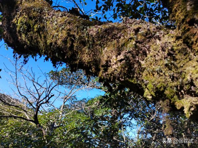 南嶺山脈，一次出行登頂廣東最高前六峰讓驢友自豪一生
