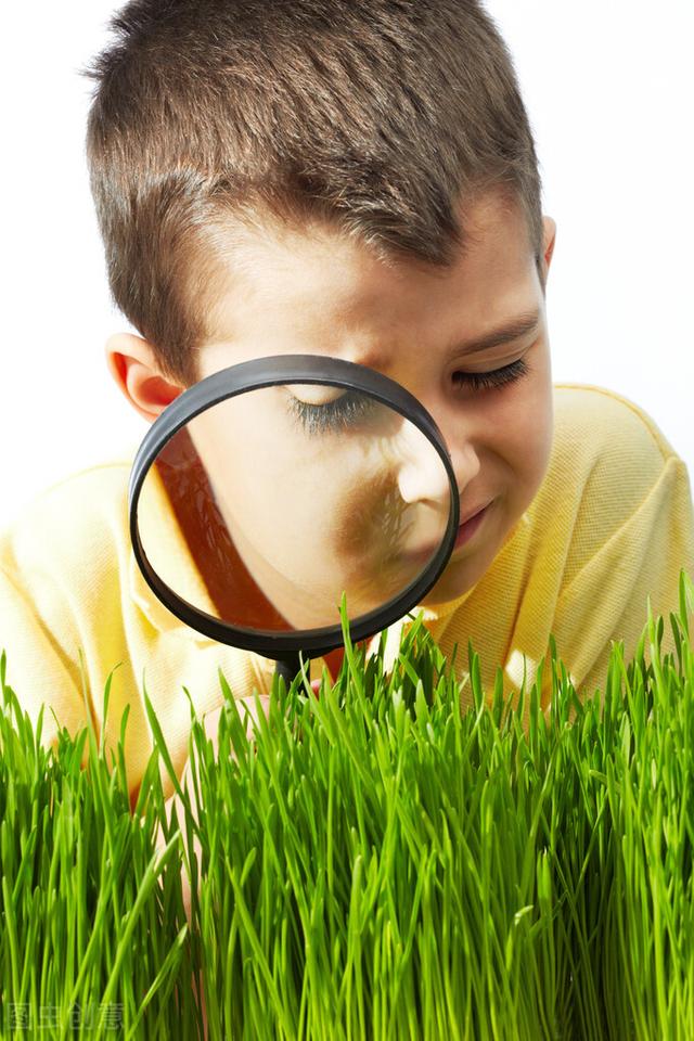 “优秀”点如何运用，让你的孩子越来越优秀？“四步曲”跟我来