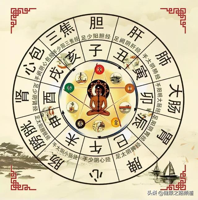 十二时辰对应脏腑图