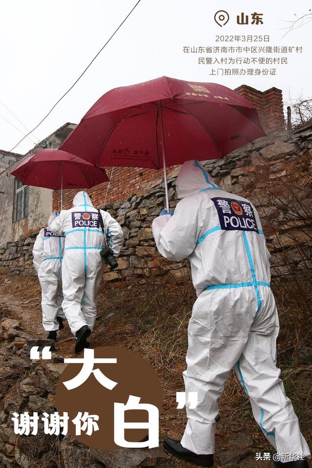 谢谢你，“大白”