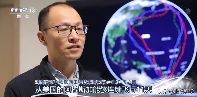 https://www.meipian.cn/56hvg5ic