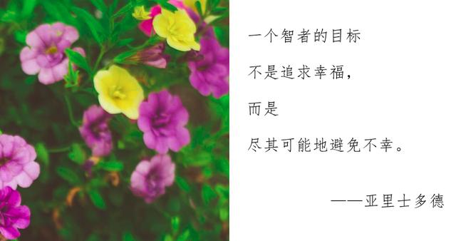 关于幸福的格言或名言 名人名言短句大全摘抄爱情 散文号 关于幸福的格言或名言 名人名言短句大全摘抄爱情 散文号