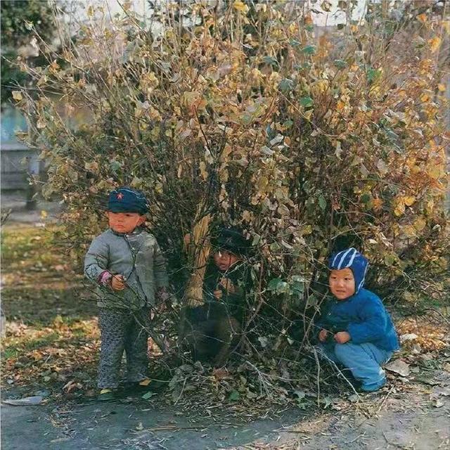 爱孩子是母鸡都会做的事，我们除了爱还应学会教