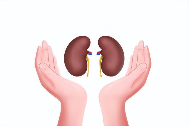 尿酸高，不能吃“羊肉”？医生：牢记“3少吃，4不喝”，对肾好