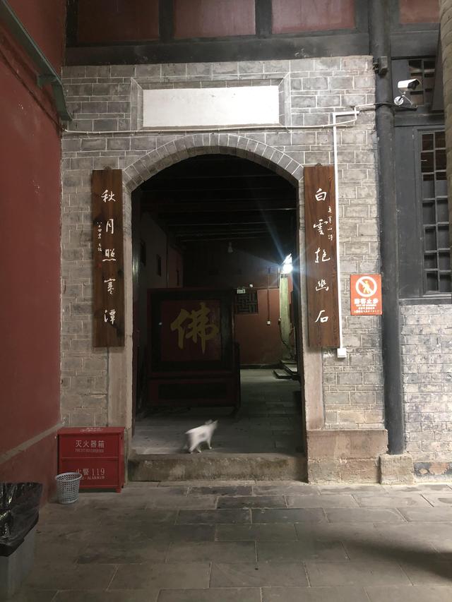 一不小心又成了夜遊~周末街子古鎮康道徒步到光嚴禅院~腳都走麻了