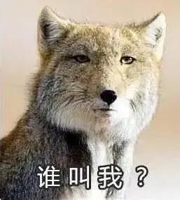 獨自坐飛機，我都遇到了哪些騙子的套路