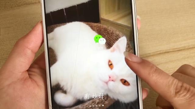 微信怎么绑定扣扣号-微信和扣扣怎样绑定一起