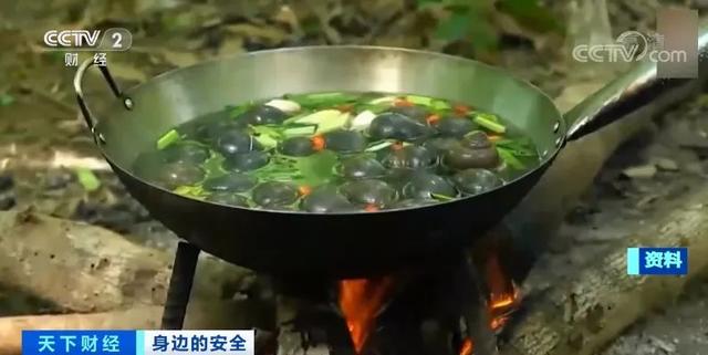 千万别碰！福寿螺体内寄生虫多达6000条
