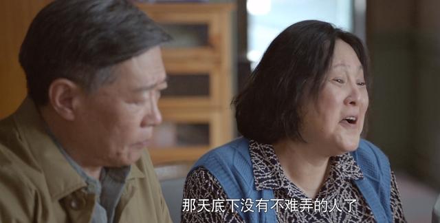 《心居》：刻薄的苏望娣，养出一个白眼狼，顾昕还惦念孙琦，过分