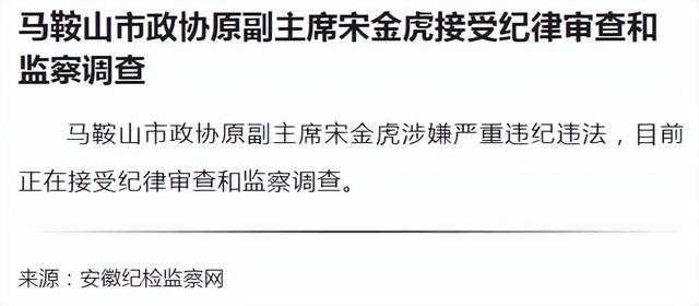 宋金虎被查！