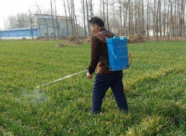 除草剂不知道什么时候打，有露水跟无露水，中间差多少3