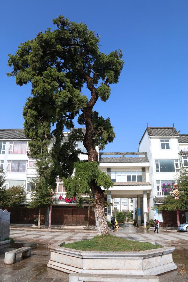 因为“众所周知”的原因，今年的五一节我将呆在昆明渡过