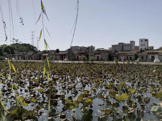 初探坑貝村