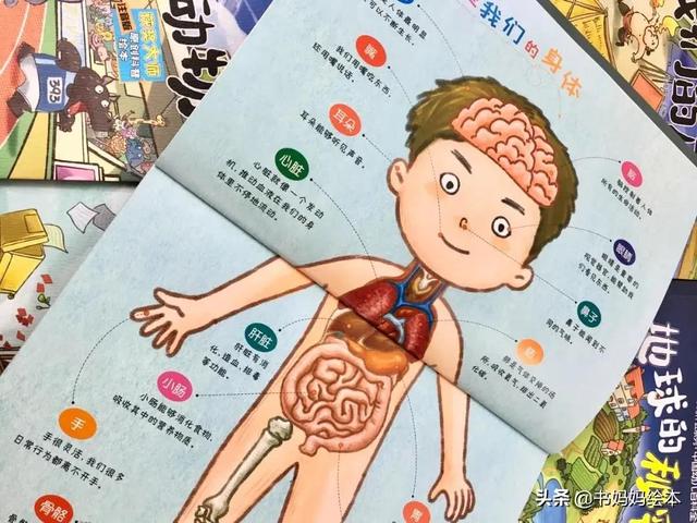 《中国幼儿百科全书》|引导孩子寻找答案、丰富科学知识的百科