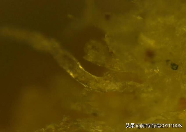 https://blog.sina.com.cn/s/blog_95b83d1401030ldj.html