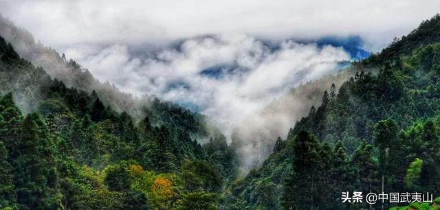 烟雨武夷 | 风景清明后，只一眼便忘却人间无数