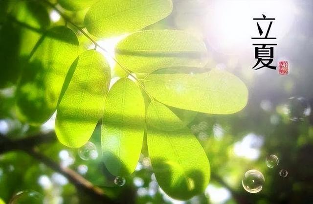 立夏将至，别忘了吃立夏蛋？立夏蛋是啥？立夏6种习俗要牢记