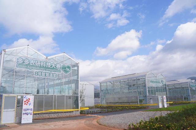 拼多多CEO陈磊解读财报：培养和提拔年轻人才 重研发