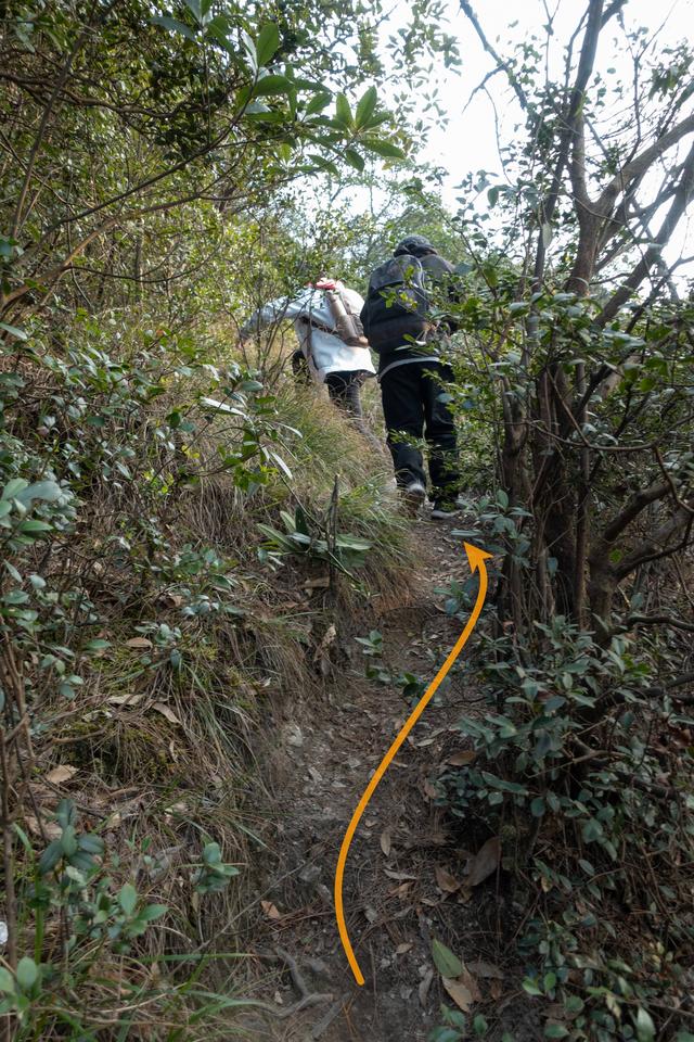 杭州登山徒步路線17：野路有趣，但不建議盲目去爬