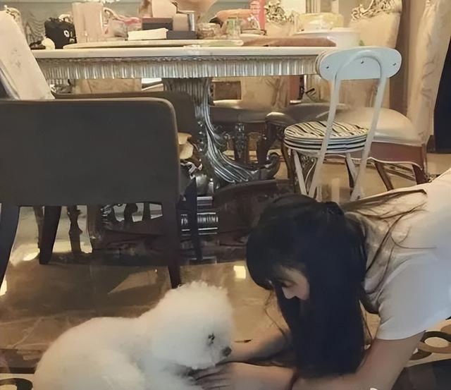 赵丽颖被造谣偷税，树大招风遭人嫉妒？细看她的资产确实被惊到了