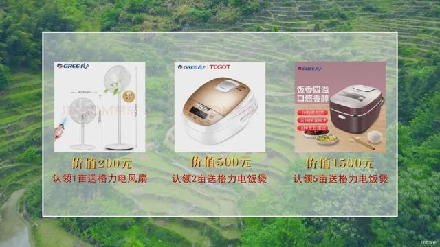 穿越了！坪市“莲花仙子”用格力电饭煲闷富硒米饭……