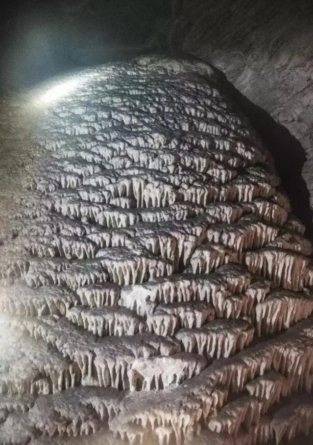 血戰邊城十一：湘西第一惡匪譚森，鑽山豹的原型人物，被部下劫殺