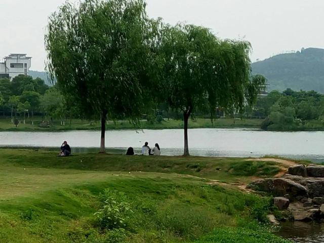 一個讓人流連忘返的旅行度假聖地——龍虎山