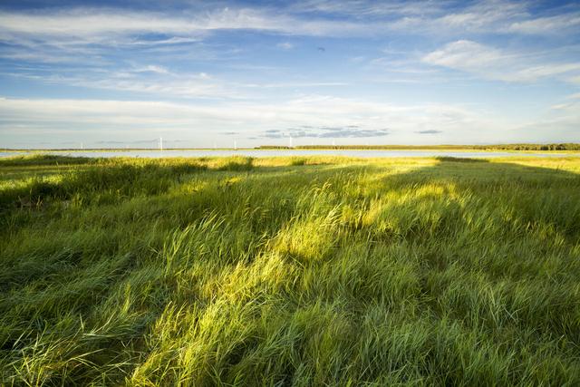 2021年需求增长明显，价格出现257%的上涨，同期涨幅近500%