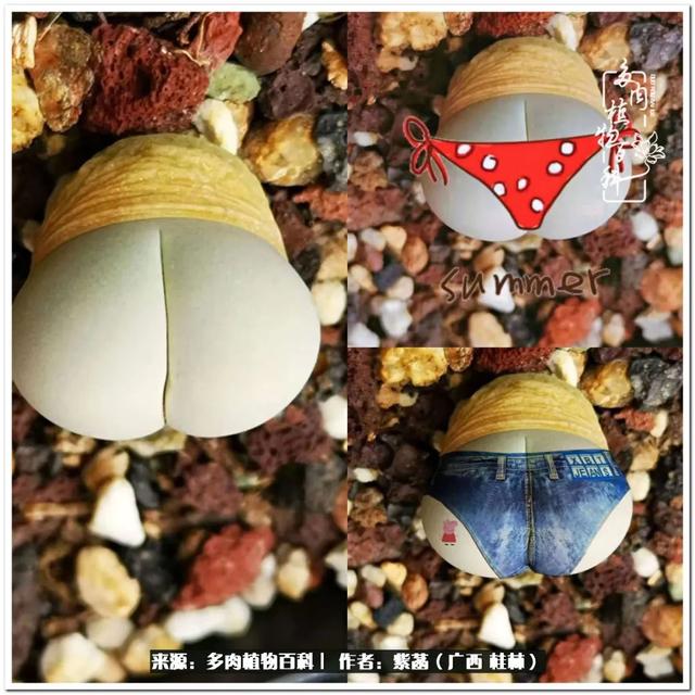 郑州新型泥土洗砂机