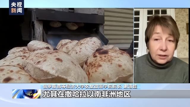 2022-03-28 俄专家谈乌克兰局势对全球粮食影响