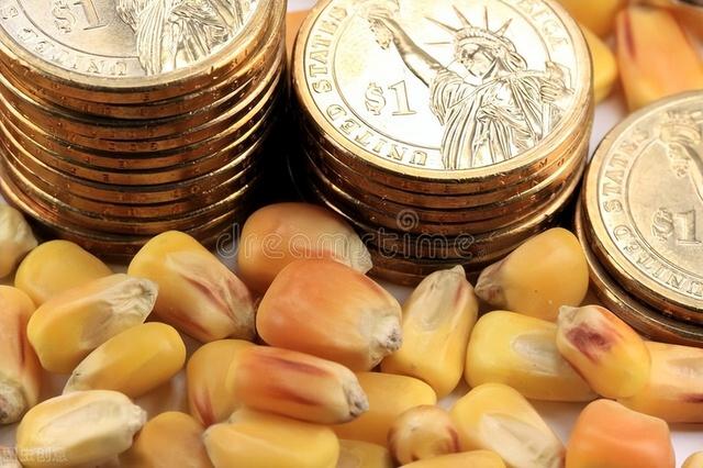 太突然，玉米价格要急转直下？陈化稻谷重新卖拍，5月18日粮价