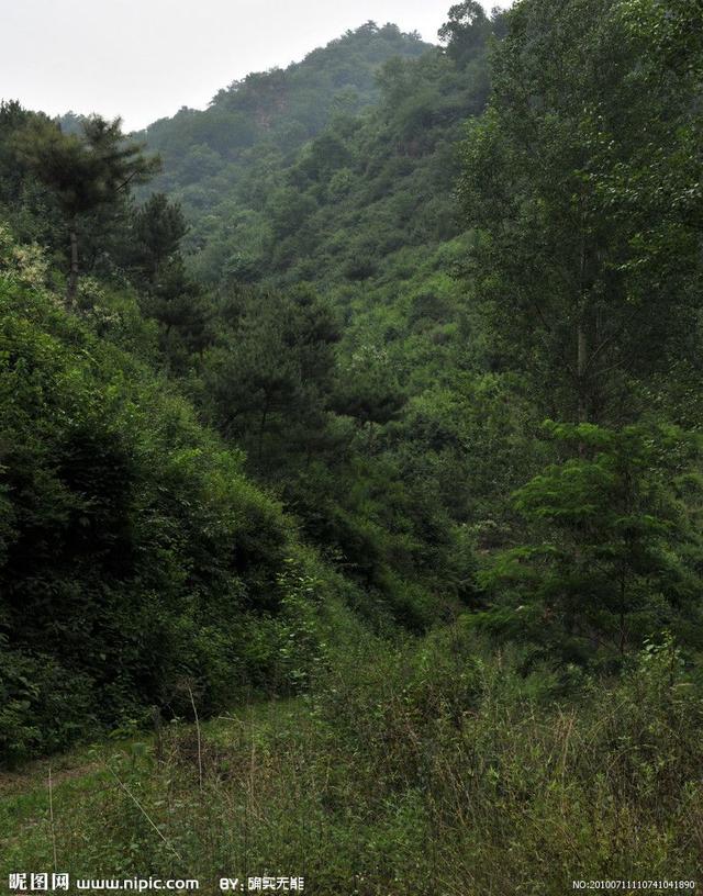 跟着父亲上北山