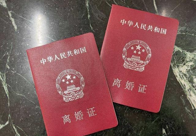 12年前，江苏“美女贪官”张美芳落网，不光贪污受贿还养小白脸