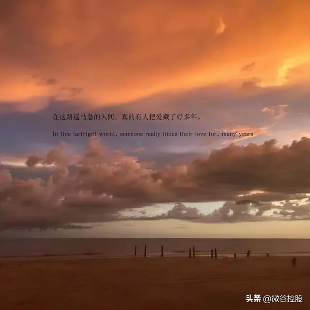 朋友圈惊艳一句话文案，干净又治愈，句句倾心