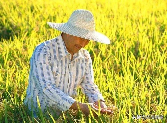 七言《抒怀》
