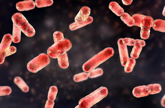 孩子生病老不好，菌群失调是元凶？