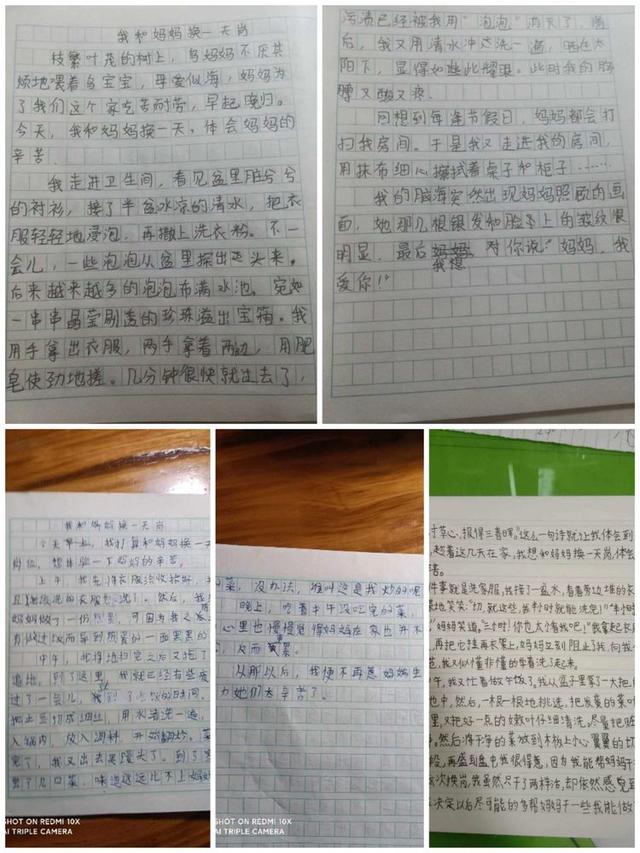 ���Ͷ� ����� |����Сѧ����һ���Ͷ�������ʵ���