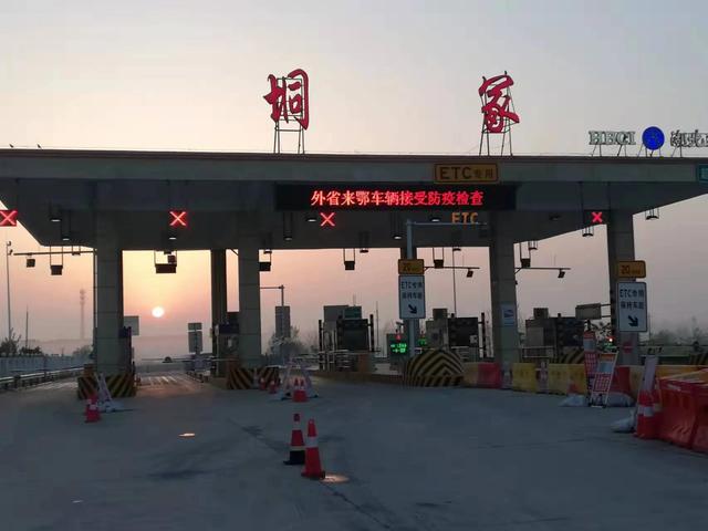 生活的初级阶段