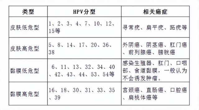 HPV有什么癥狀？怎樣發現HPV感染？