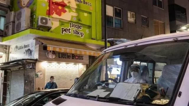 两周后单日新增可能破万？香港何去何从？