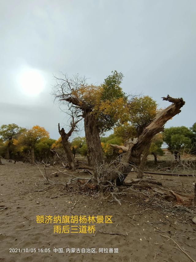 西行漫記之10月5日內蒙古篇