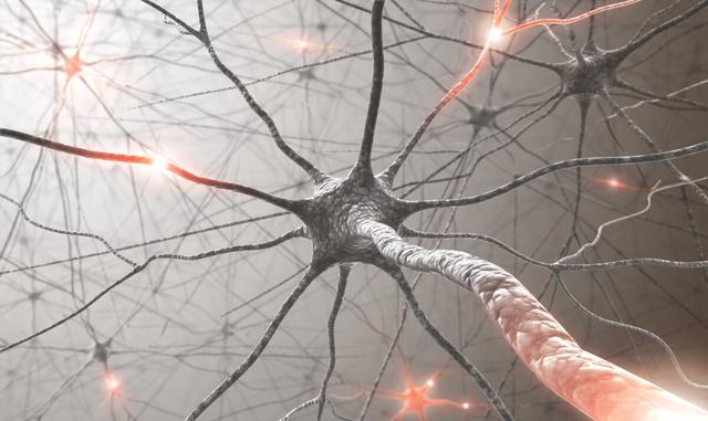 吃降压药治疗高血压，出现乏力、疲倦还有恶心，可能是缺钾了