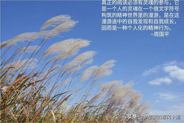 读书而独处，独处以读书
