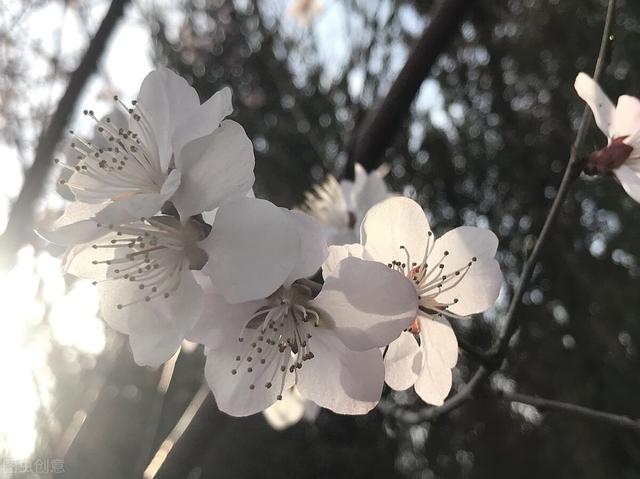 特别扎心的爱情句子，很甜很深情，激励人心