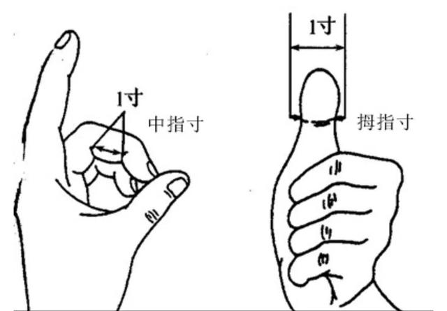 针灸穴位找不准？同身寸法和骨度分寸法了解一下，帮您找准穴位