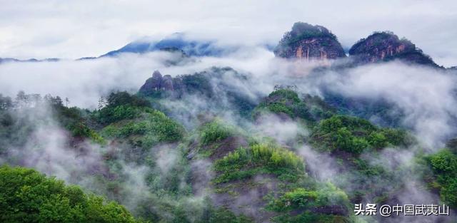 烟雨武夷 | 风景清明后，只一眼便忘却人间无数