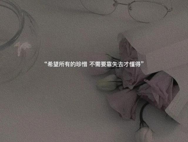 爱情语录情感标题文案