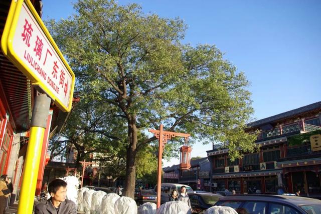 北京一小衆文化街，內多爲明清建築，青磚灰瓦古香古色，遊客卻少