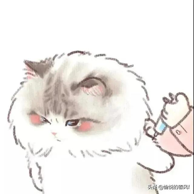 值得摘抄的文案，心灵寄托