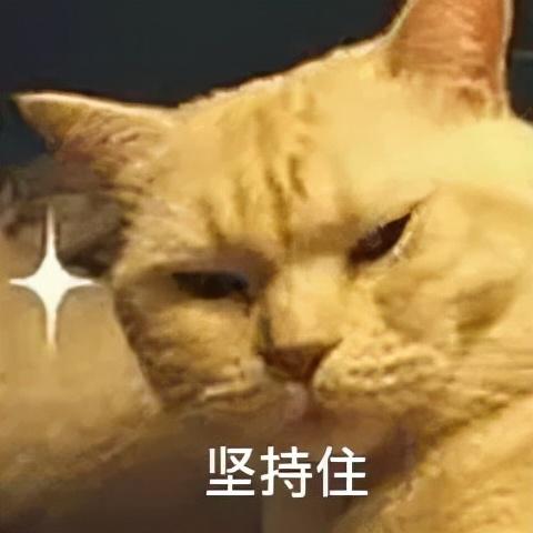 失眠吃酸枣仁没效果？可能是你吃法错了